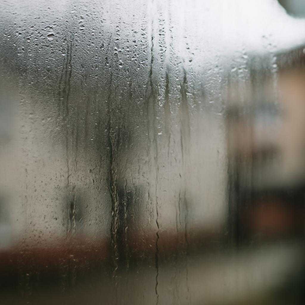 Прозрачный обзор: сухие стёкла в любую погоду