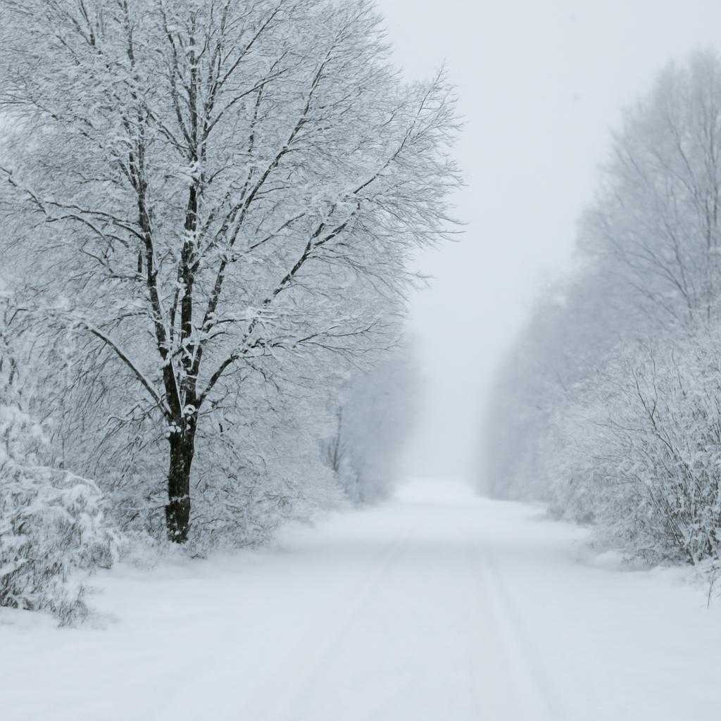 Семь зимних ошибок автомобилиста